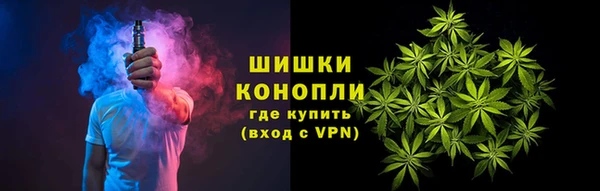 индика Армянск