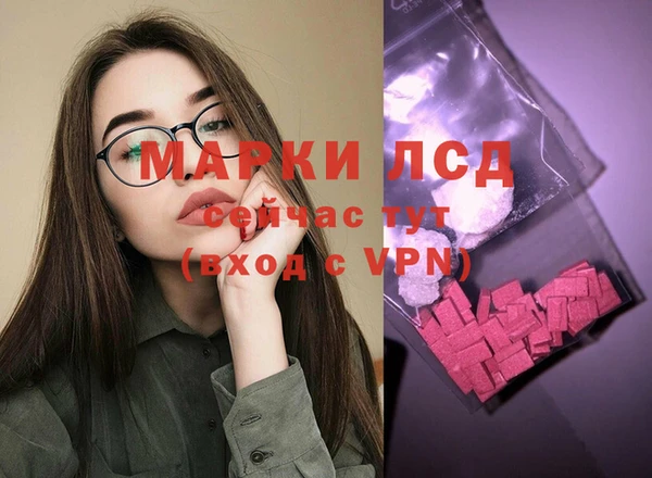 индика Армянск