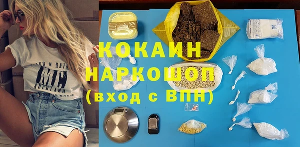 индика Армянск