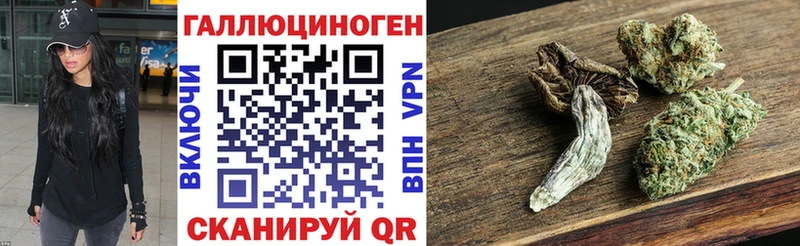 где купить наркоту Тайга блэк спрут как войти Псилоцибиновые грибы мухоморы