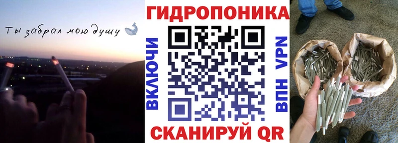 цена наркотик  Тайга  Конопля планчик 